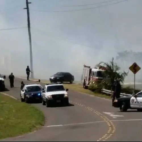 Grass fire on Cross-Island Road