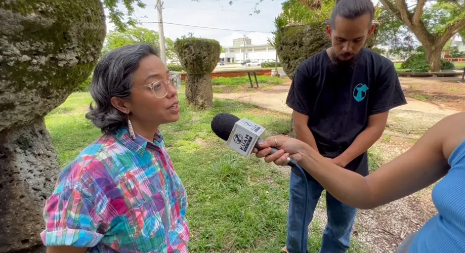 Protesters speak out about congressional hearing chaos