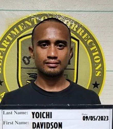 Alleged ambulance thief arrested
