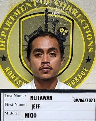 Second arrest made in ambulance theft
