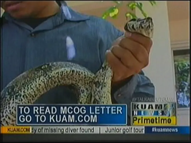 Mayors seek assistance in battle against invasive species