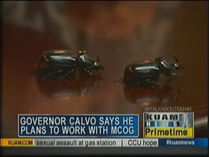 Governor discusses green waste management