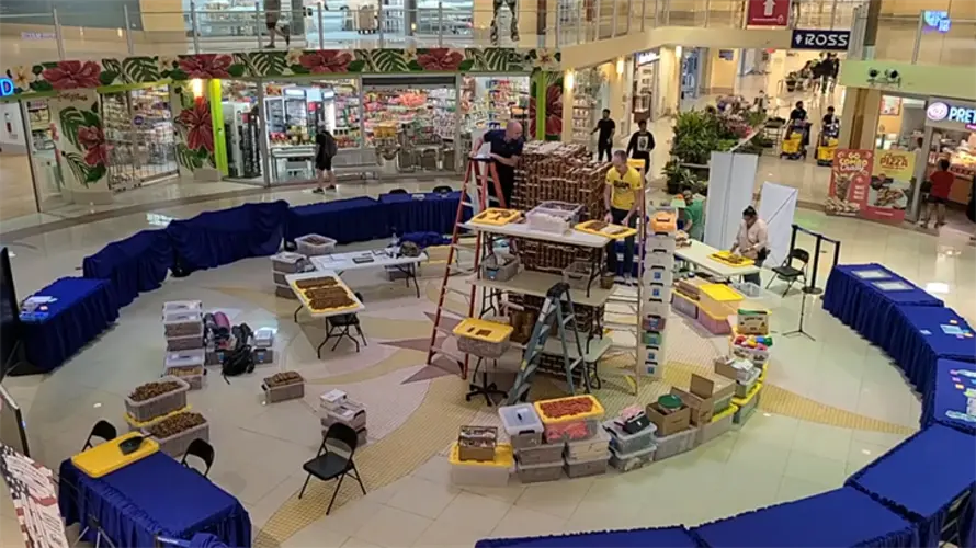 Aydlett Brothers disassemble recreated Twin Towers at Agana Shopping Center