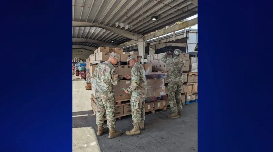 Beetles found in certain pasta, dry pet food at military commissary