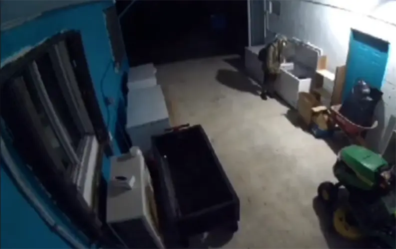Yigo animal shelter burglarized over the weekend