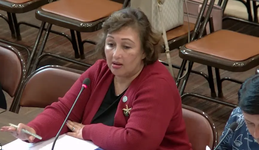 Bills to protect youth from vape and tobacco use proposed