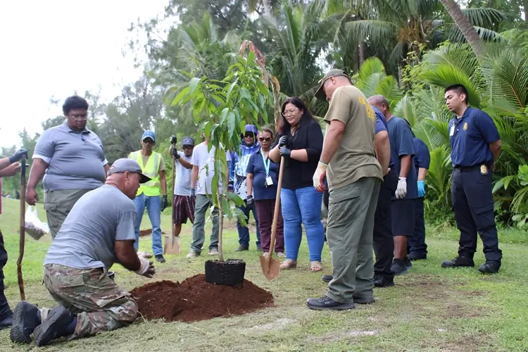Rota plants over 200 fruits trees in 2023