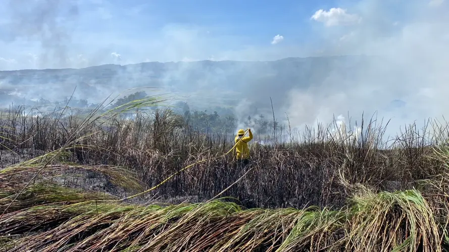 Fire on Cross Island Road