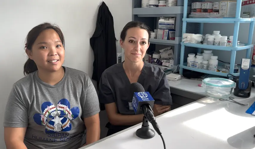 Saipan Humane Society speaks out after multiple dogs shot