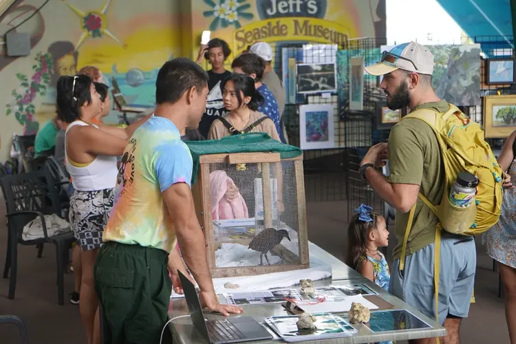 University of Guam to host Guam’s third Migratory Bird celebration