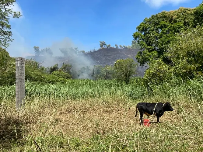 Investigators searching for arsonist responsible for Malesso' wildfire