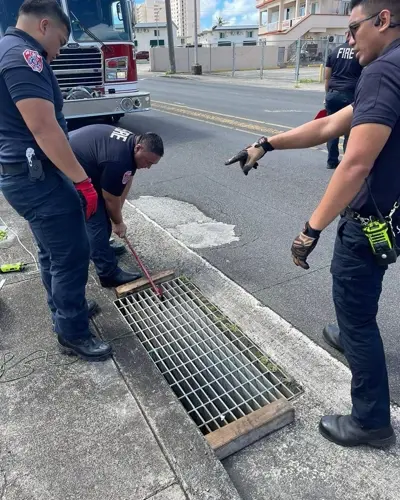 Firefighters rescue kitten trapped in storm drain