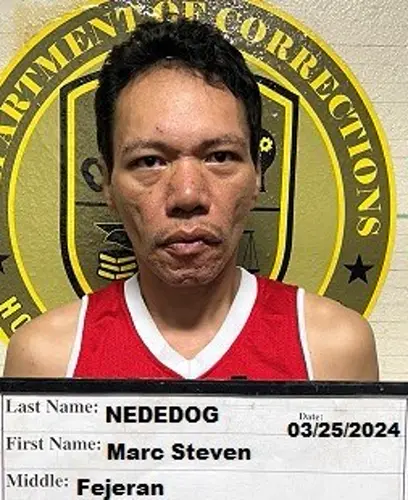 Home invasion defendant takes insanity plea