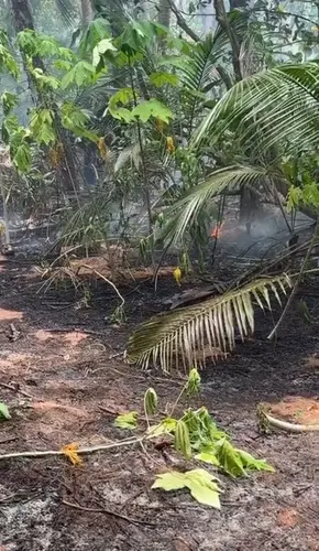 Authorities investigating cause of wildfire on Cocos Island