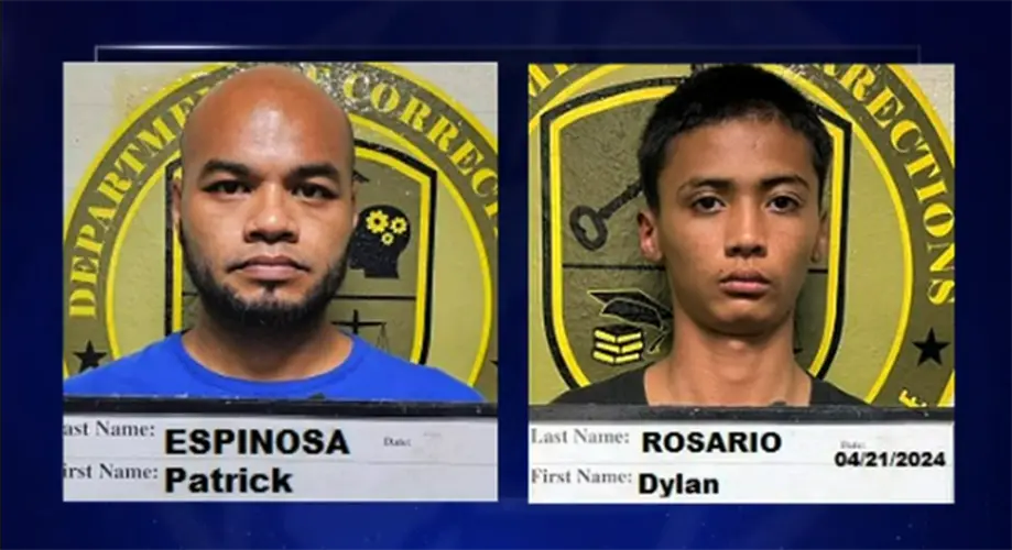 Pair arrested in multiple thefts