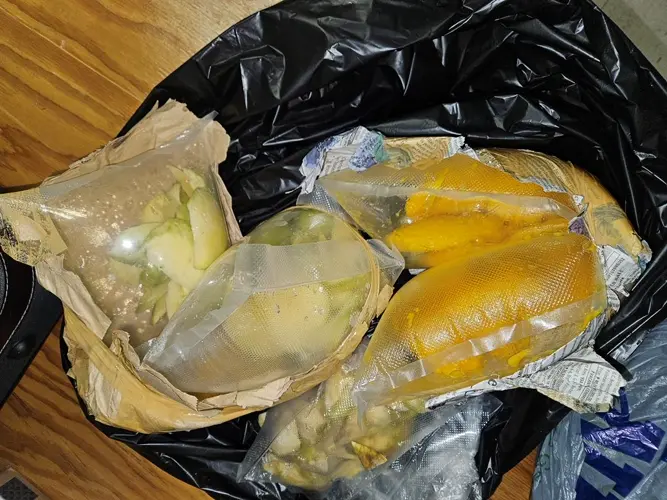 Guam Customs officers intercept kava roots with nematodes, mangoes, mango seeds
