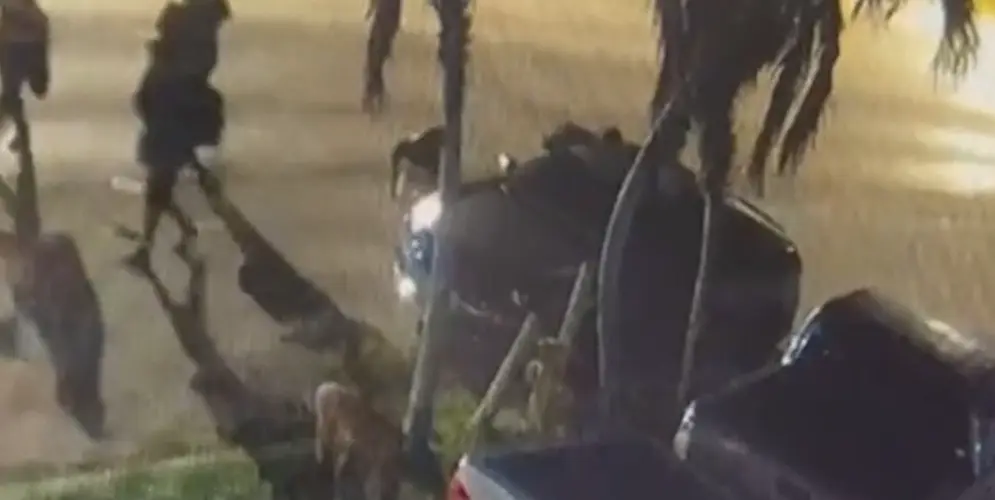 Security footage captures slashing tire crime spree in southern villages