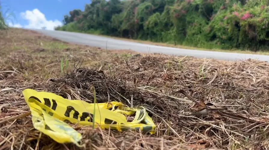 Witness heard gunfire before man's body found in Talo'fo'fo'