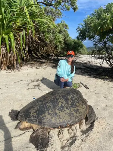 University of Guam Sea Grant continues critical sea turtle conservation efforts