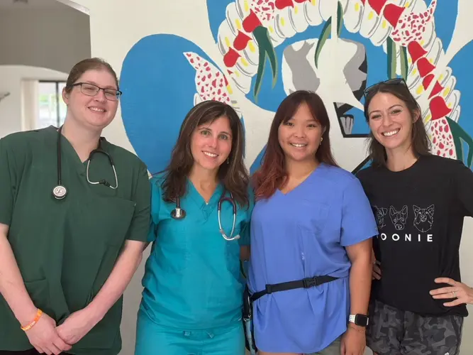 Saipan Humane Society provides critical care through Banfield partnership