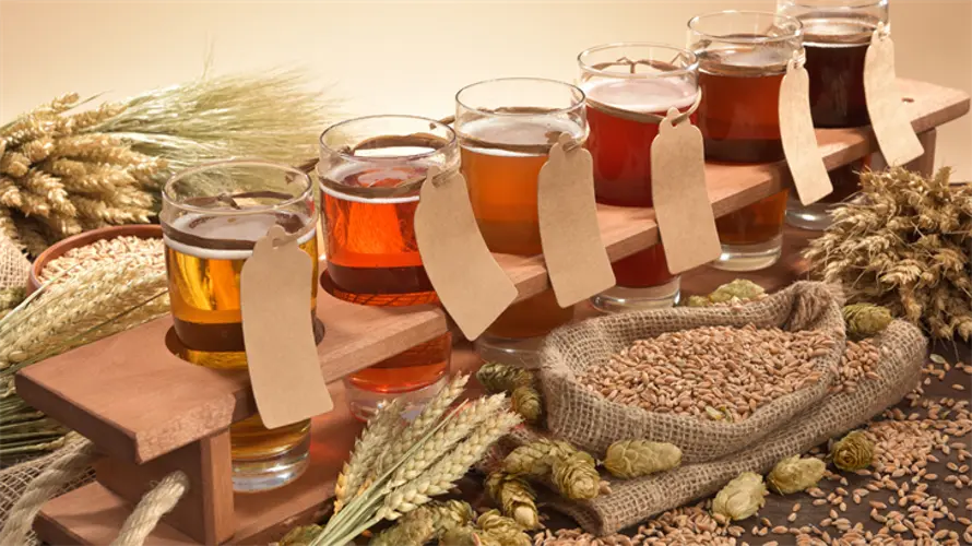 Senators support bill to create new instructional tasting license