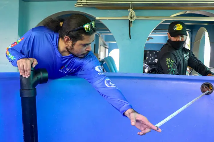 Aquaponics system installs begin at the University of Guam