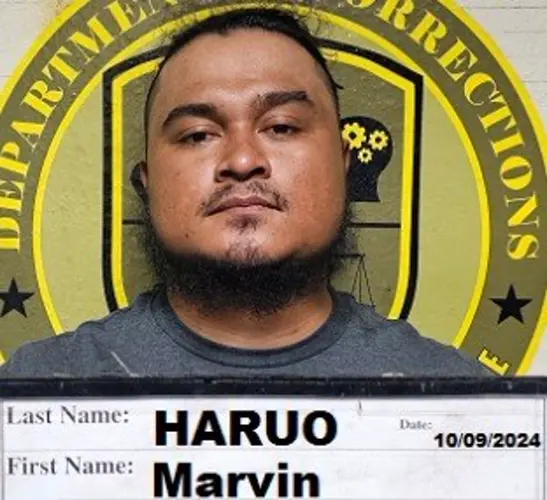 Man arrested in slingshot attack