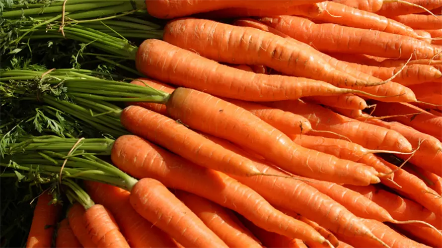 Guam, CNMI monitor recall of organic carrots after E. coli outbreak