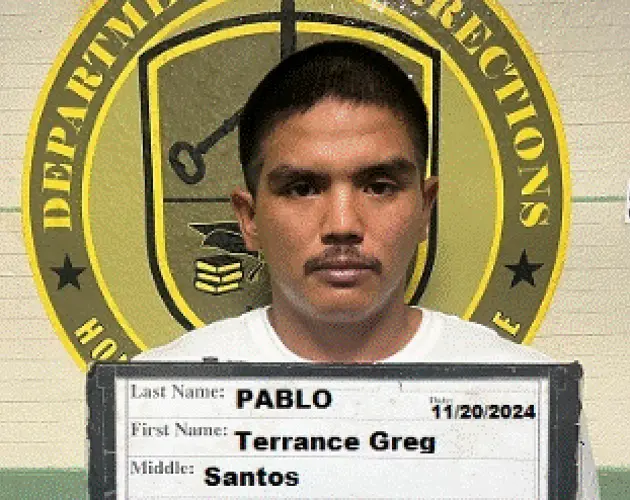Man allegedly stole car and license plates
