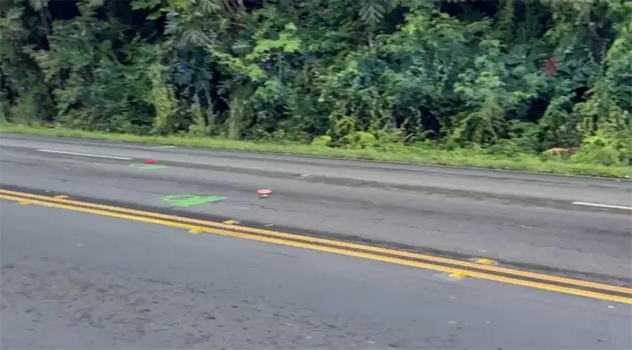 Woman killed after being hit by car