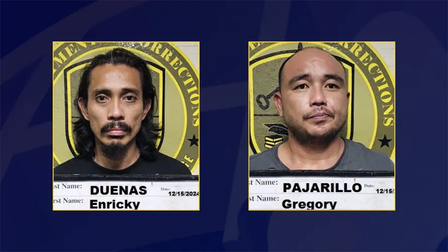 Pair allegedly stole bush cutter from garage