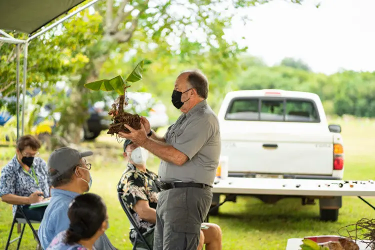 University of Guam Extension hosts Banana Field Day