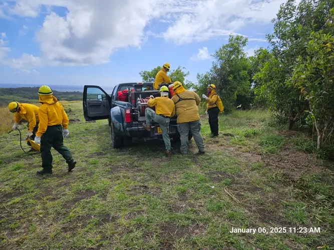Fire preparedness starts with simple maintenance done around homes