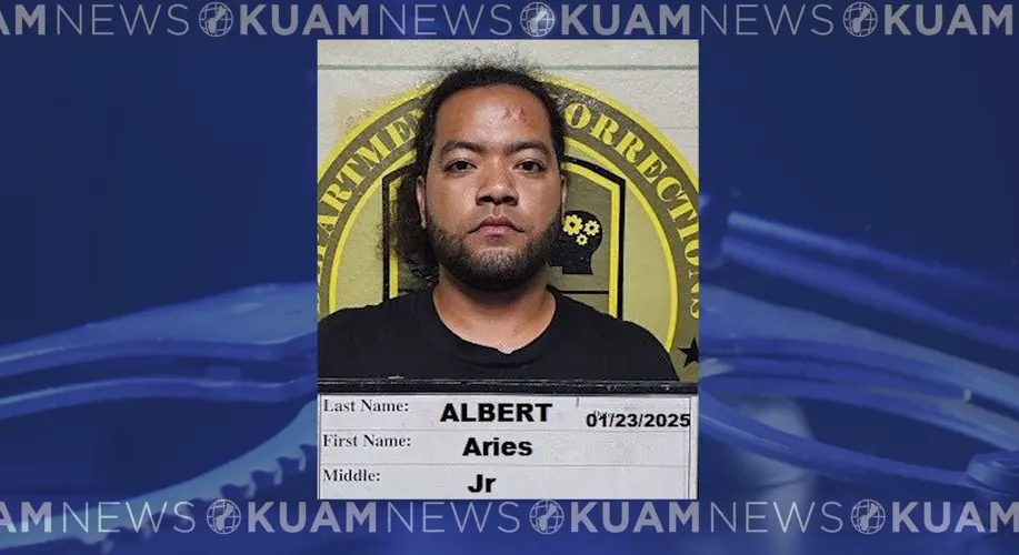 Man arrested in machete attack