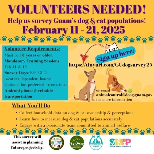 Volunteers needed for dog and cat population survey