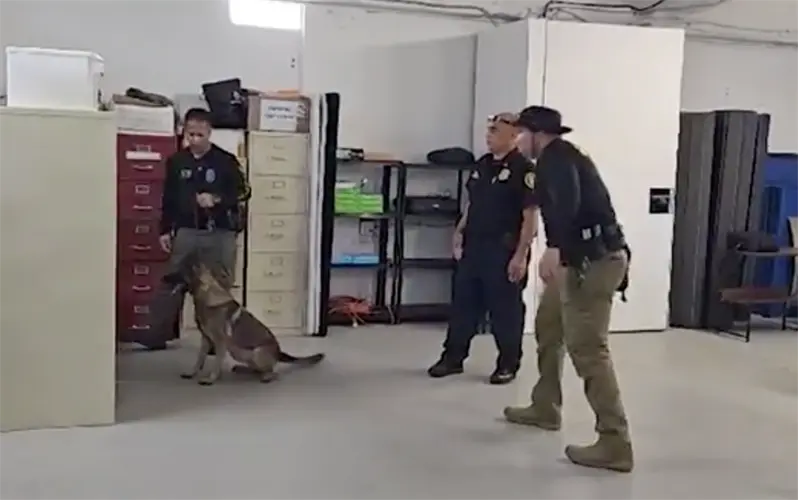 Drugs intercepted at post office during Guam Customs, DEPCOR K9 training