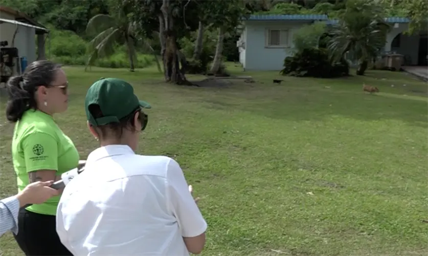 Survey counts free roaming cats and dogs on Guam, measures snip progress