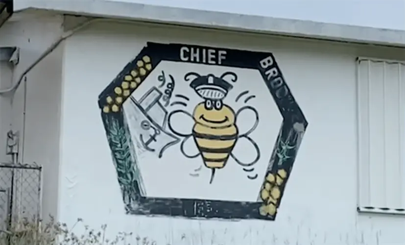 "All options are on the table" for future use of Chief Brodie facility