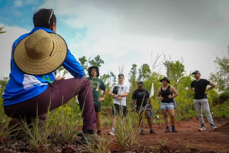 University of Guam seeks Carbon Credit Certification to fund conservation efforts