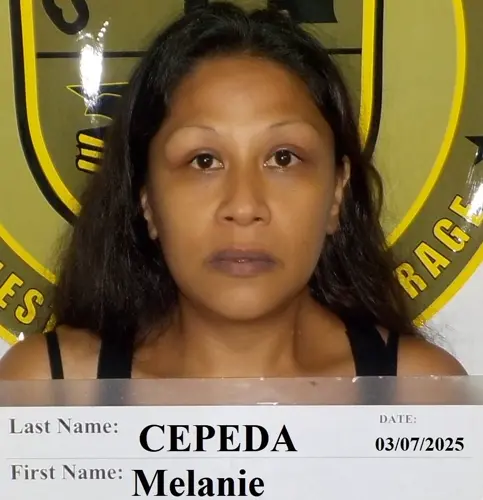 Woman arrested in Home Depot theft
