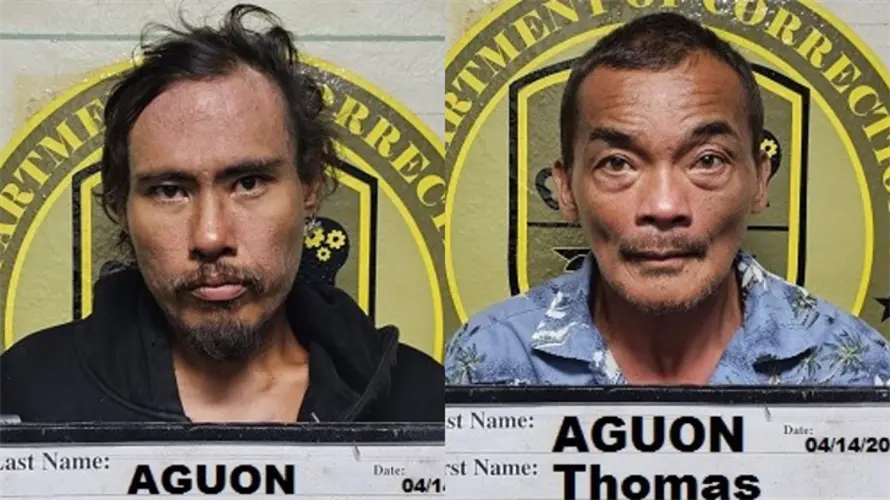 Pair arrested in knife attack at Triangle Park
