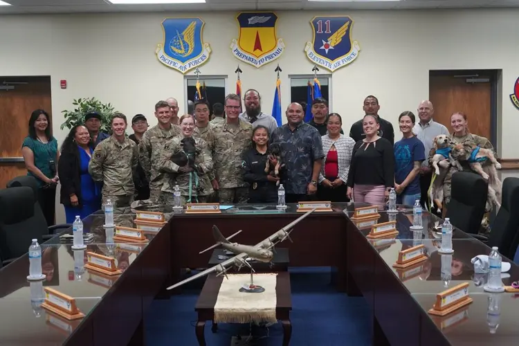 Department of Agriculture and Andersen enter landmark agreement for stray animal management