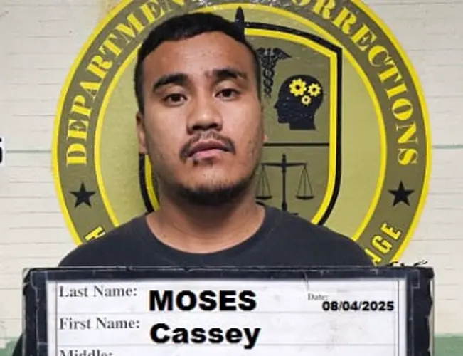 Man who stole a company truck faces felony charges
