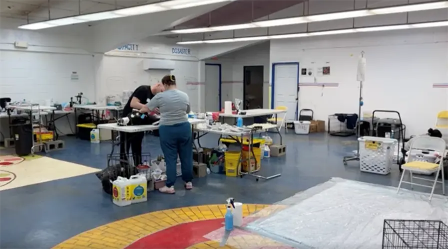 Talo'fo'fo SNIP clinic could cut short from low turnout