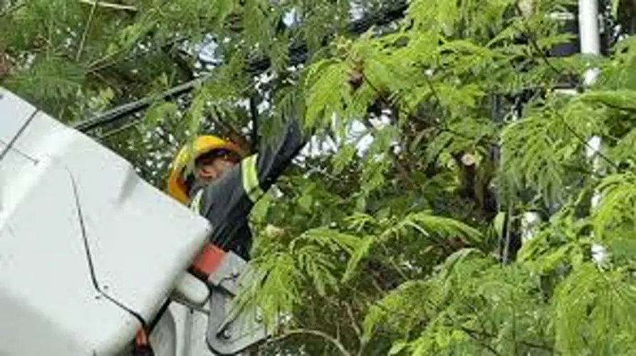 Partial lane closures along Route 2 as Guam Power Authority carries out vegetation trimming
