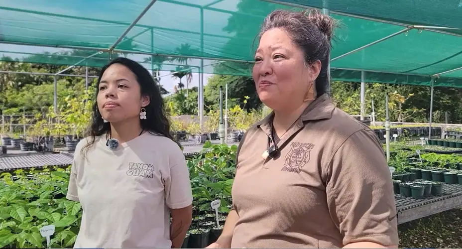 Arbor Month gears up to plant trees and seeds of fire safety