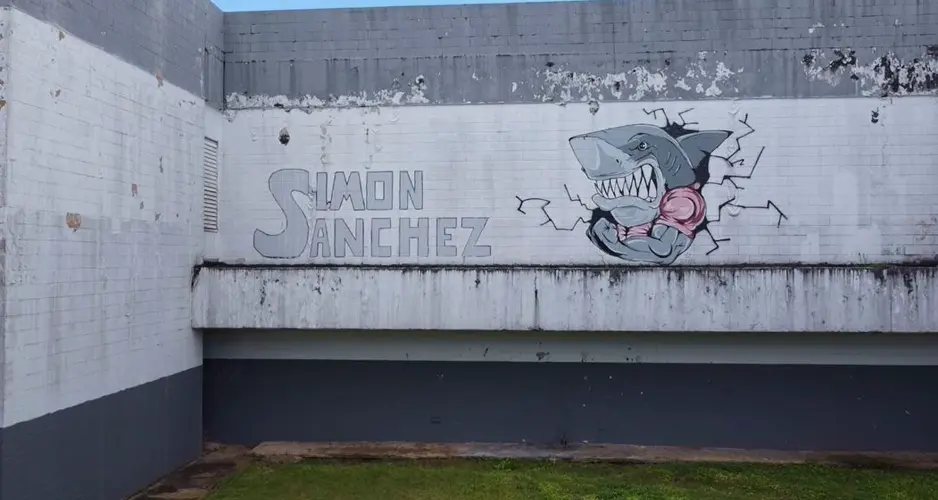 DPW pursues green light from OPA for Sanchez project amid protest