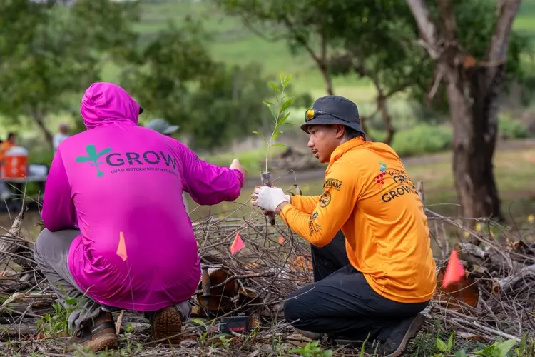 Guam Green Growth’s GROW Corps named among the nation’s top public service innovations