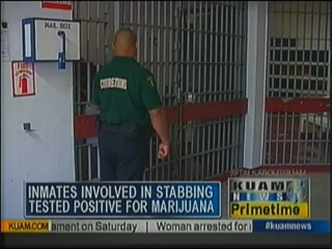 Inmates test positive for marijuana
