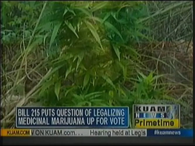 Declaratory judgment filed over medicinal marijuana bill